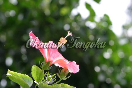 imageA0400